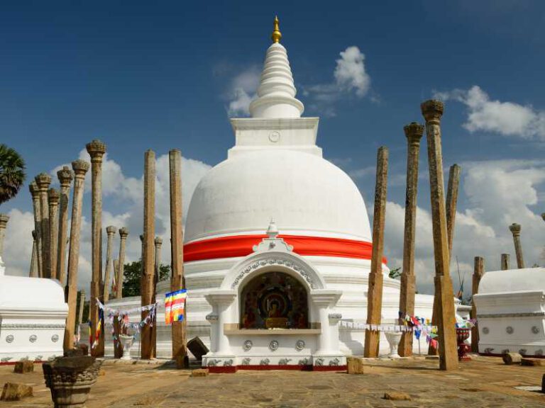 Anuradhaphura