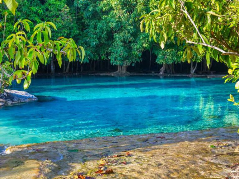 800 - tiefer Süden - beautiful-emerald-pool-in-deep-forest-at-krabi-thailand(1)