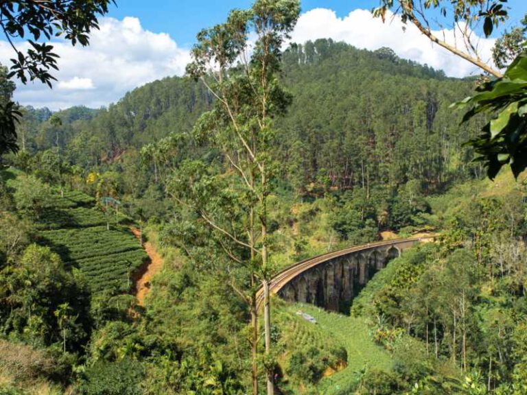 800 - the-famous-nine-arch-bridge-of-the-railway-in-the-jungle-in-sri-lanka