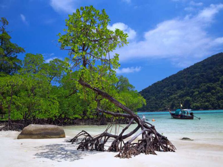 800 - Surin Islands -beautiful-beaches-and-mangroves-of-tropical-sea