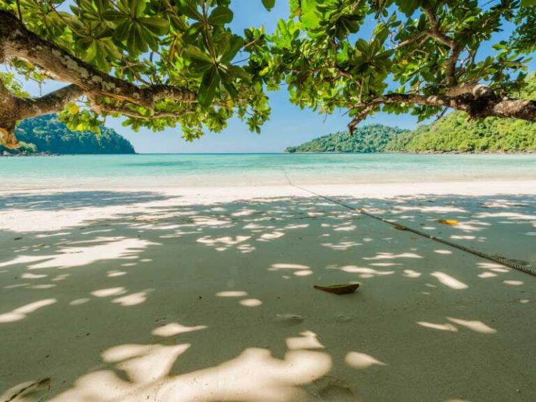 800 - Surin Islands -beautiful-the-exotic-beach-with-tree-branch-for-relaxation-located-surin-island-thailand