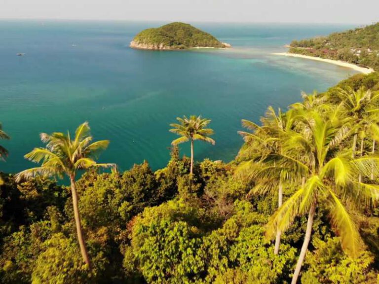 800 - Koh Phangan - aerial-drone-small-island-ko-phangan-thailand-exotic-beach-summer-day-coconut-palms-from-above
