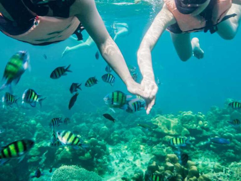 800 - Phuket, Yao Noi, Khao Sok - young-asian-couple-holding-hands-snorkeling-with-school-of-fish-in-tropical-sea-on-vacation