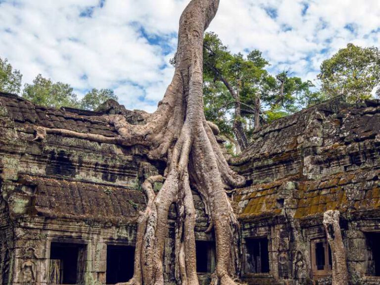 800 - Tag 2 - trees-growing-out-of-ta-prohm-temple-angkor-wat-in-cambodia(1)