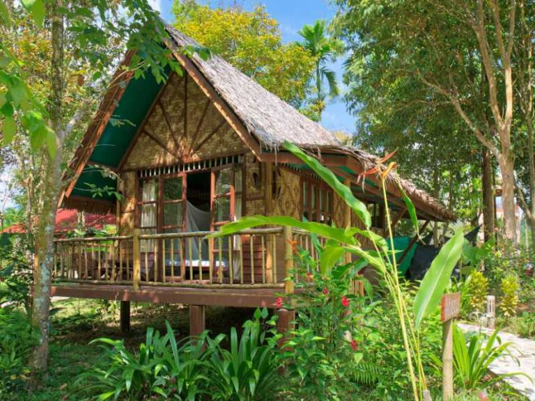 800 - Our Jungle Eco Resort - Exterior-7-1024x683
