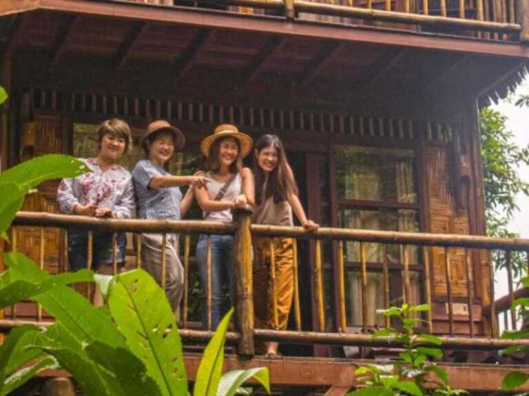 800 - Our Jungle Eco Resort - Our-Jungle-Camp-Tree-House-1lr-1024x364