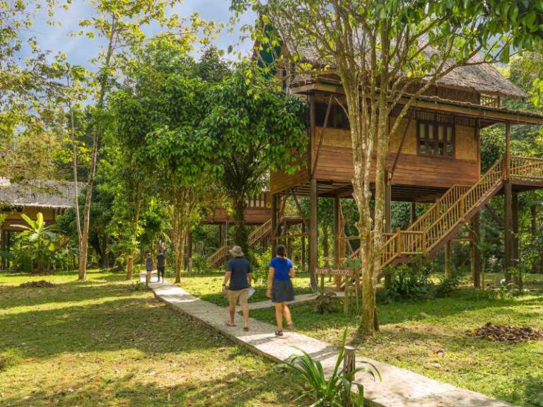 800 - Our Jungle Resorts - Double Story Tree House (1)