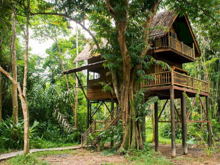 800 - Our Jungle Resorts - Double Story Tree House (10)