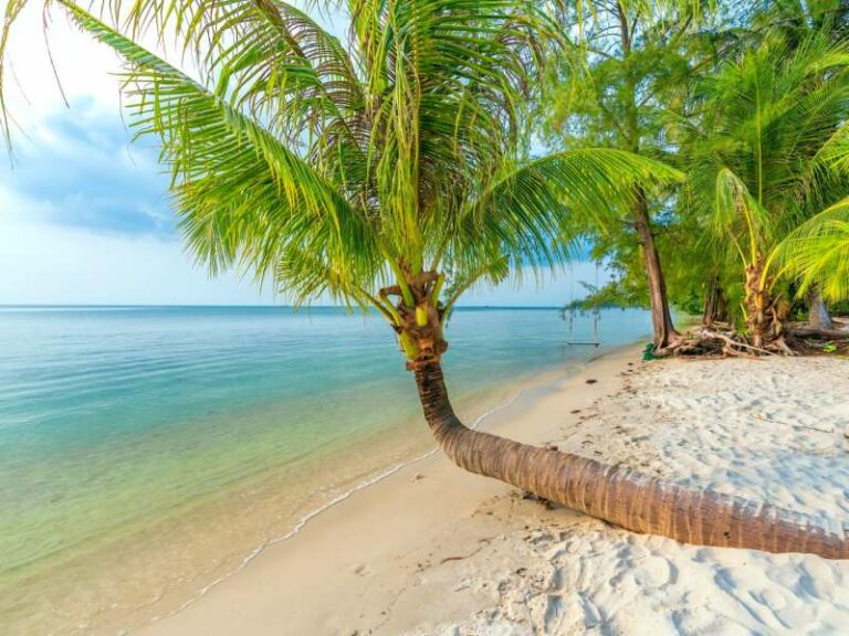800 - Vietnam - tropical-beach-with-palm-beautiful-sandy-beach-phu-quoc-island-vietnam-sunset-sky