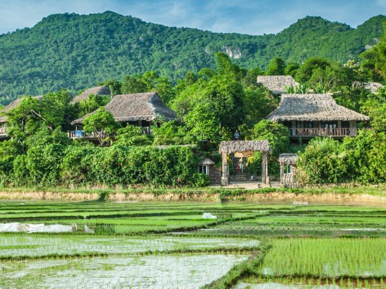 800 - Mai Chau Ecolodge - 2020217205417maichauecolodgeoverview9