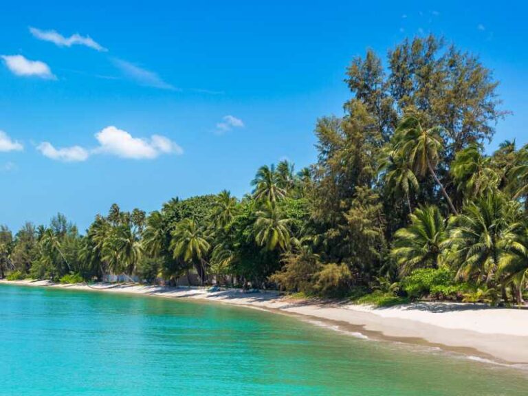 800 - Koh Samui - tropical-beach-with-palm-trees-on-koh-samui-island-thailand