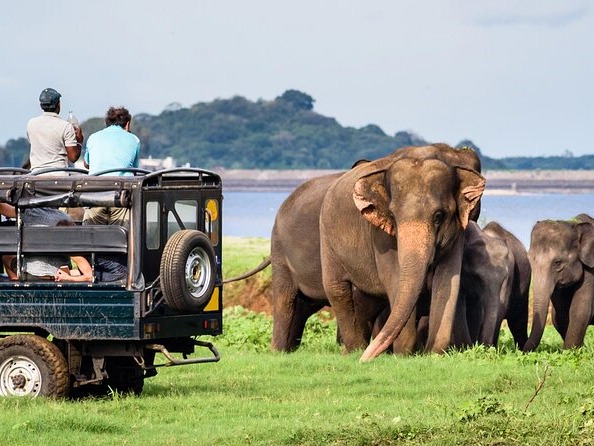 800 - 7D Klassik Sri Lanka07