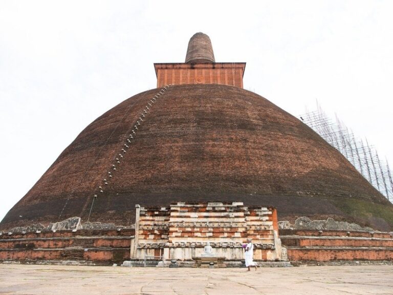 800 - 7D Klassik Sri Lankastupa-8015173_1280