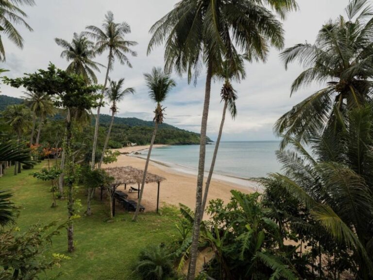 800 - Anda Lanta246421863