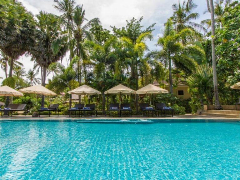 800 - Anda Lanta49717943