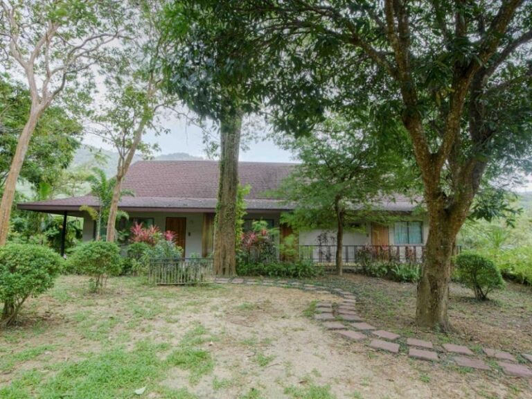 800 - Anda Lanta514314792