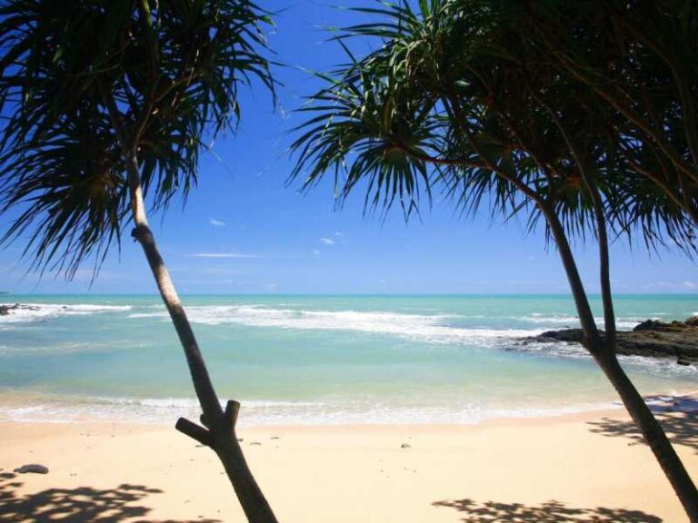 800 - Avani Koh Lanta - 230586843