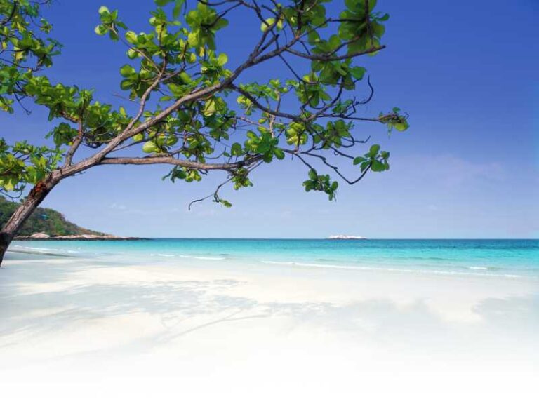 800 - Paradee Resort - Beach