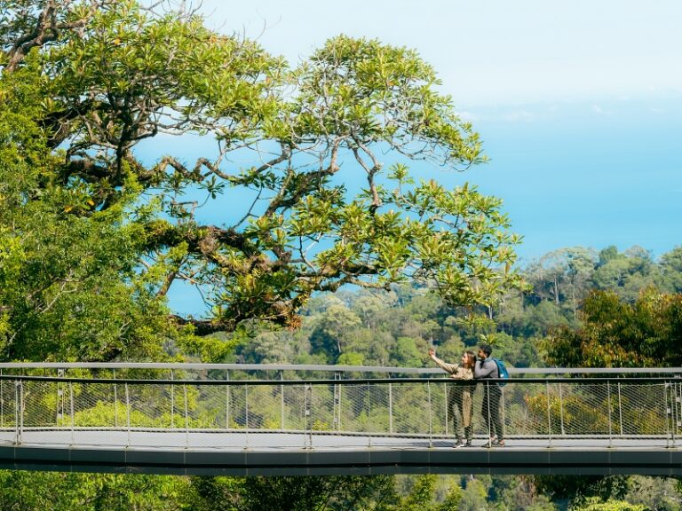 The Habitat Penang Hill provides the most authentic, diverse and educational Malaysian rainforest experience. Reconnect with nature in its purest form as you immerse yourself in our 130-million year old rainforest. Starting at the forest floor, our Naturalists will take you on a journey along our Nature Trail to explore the myriad of flora and fauna – plants, trees, insects, birds, reptiles, and mammals that call The Habitat home. Explore the biodiversity of the rainforest canopy on our 230m Langur Way Canopy Walk. Visit Curtis Crest Tree Top Walk at the top of Penang Hill, and embrace the 360-degree panoramic views of Penang Island from the highest viewing point of Penang.