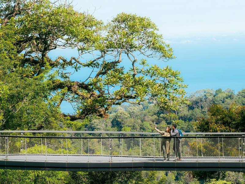 The Habitat Penang Hill provides the most authentic, diverse and educational Malaysian rainforest experience. Reconnect with nature in its purest form as you immerse yourself in our 130-million year old rainforest. Starting at the forest floor, our Naturalists will take you on a journey along our Nature Trail to explore the myriad of flora and fauna – plants, trees, insects, birds, reptiles, and mammals that call The Habitat home. Explore the biodiversity of the rainforest canopy on our 230m Langur Way Canopy Walk. Visit Curtis Crest Tree Top Walk at the top of Penang Hill, and embrace the 360-degree panoramic views of Penang Island from the highest viewing point of Penang.