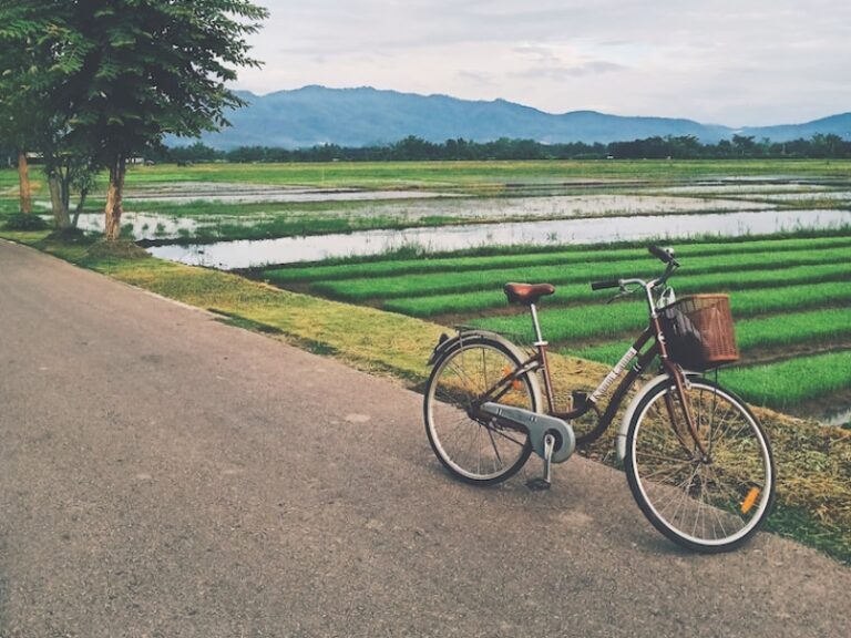 800 - Khum Lannakhum-lanna-chiang-mai_orig