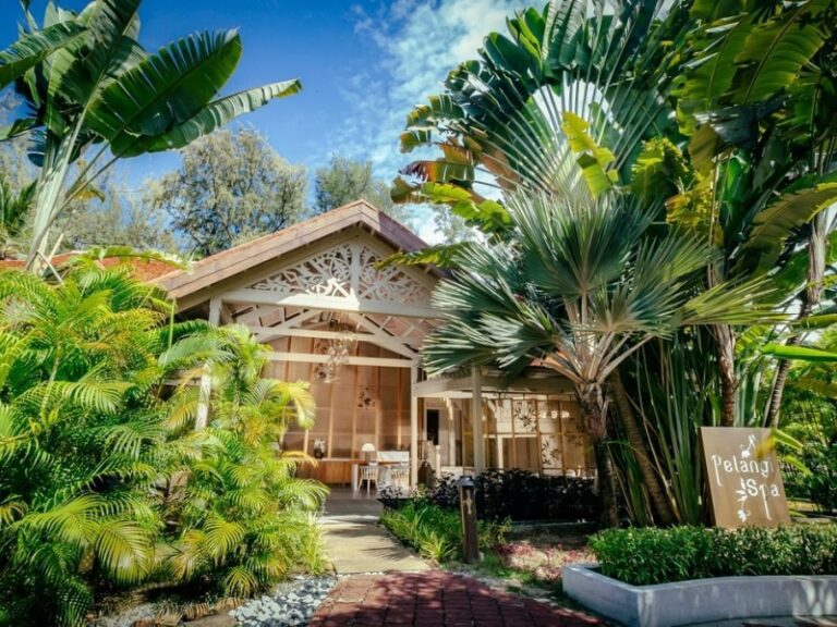 800 - Pelangiimg-3681