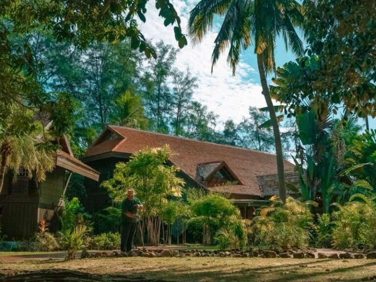 800 - Pelangiimg-4108