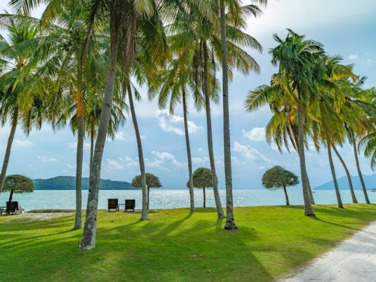 800 - Pelangiimg-4780