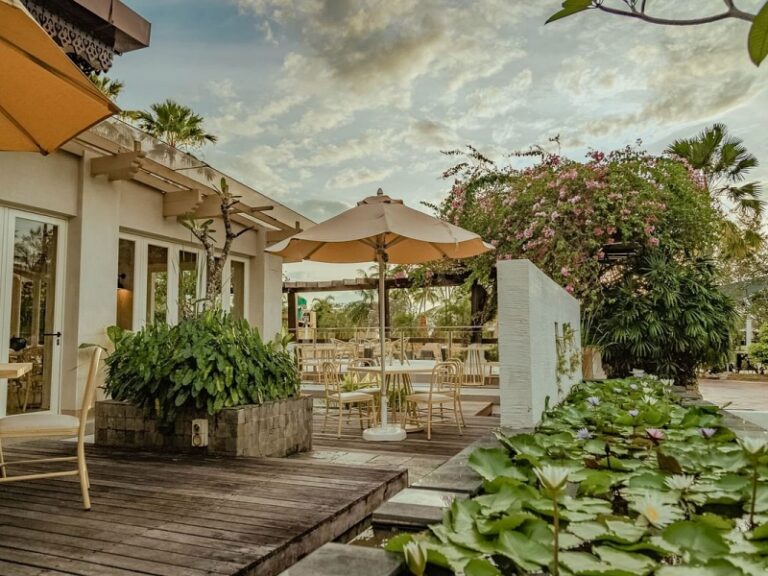 800 - Pelangiimg-6509