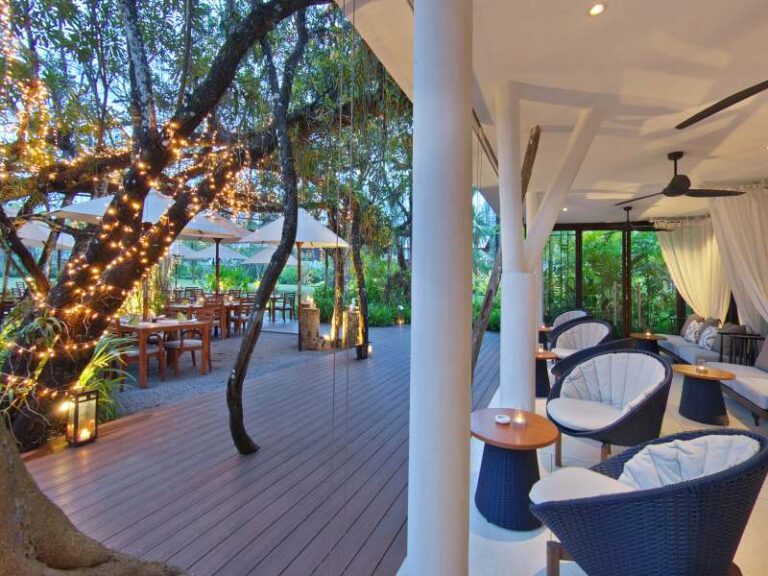 800 - The Sarojin - DI#9 ficus wine bar