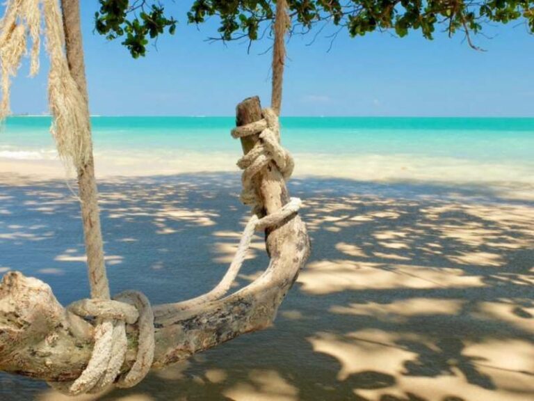 800 - The Sarojin - rope-swing-1400x935