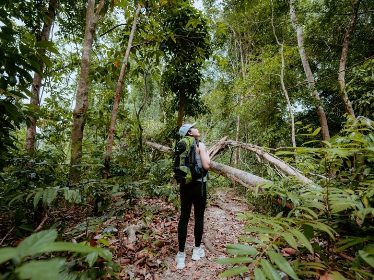 800 - Bungaraya RecreationHiking-19
