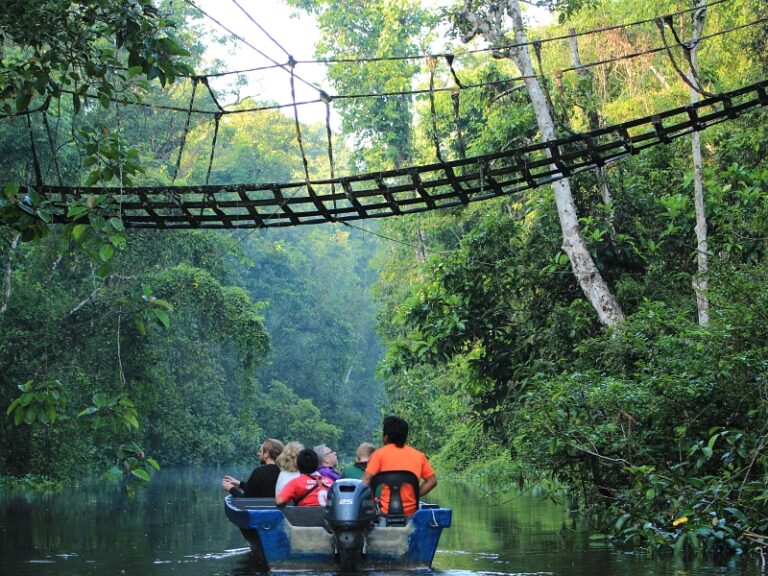800 - KinabatanganKinabatangan River - River Cruise (2)