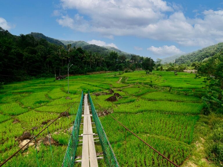 800 - Kiulu Villagekiulu_farmstay_35