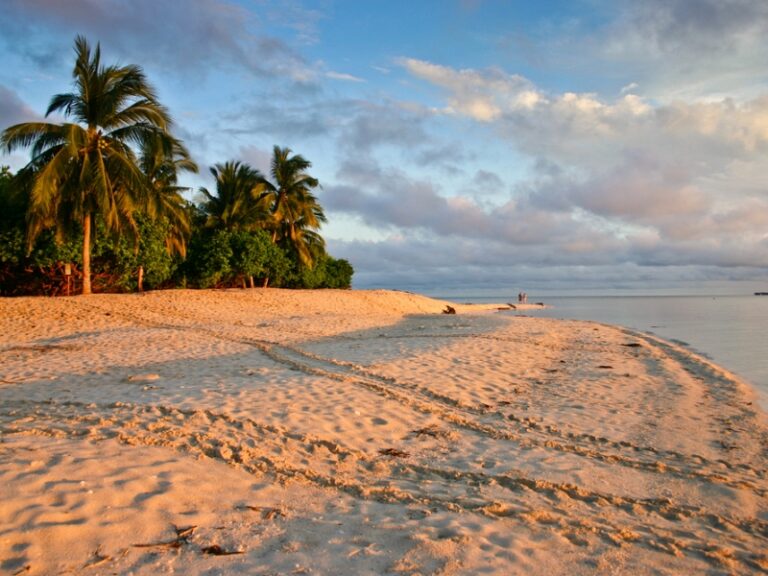 800 - Libaran IslandTurtle Tracks on the Beach