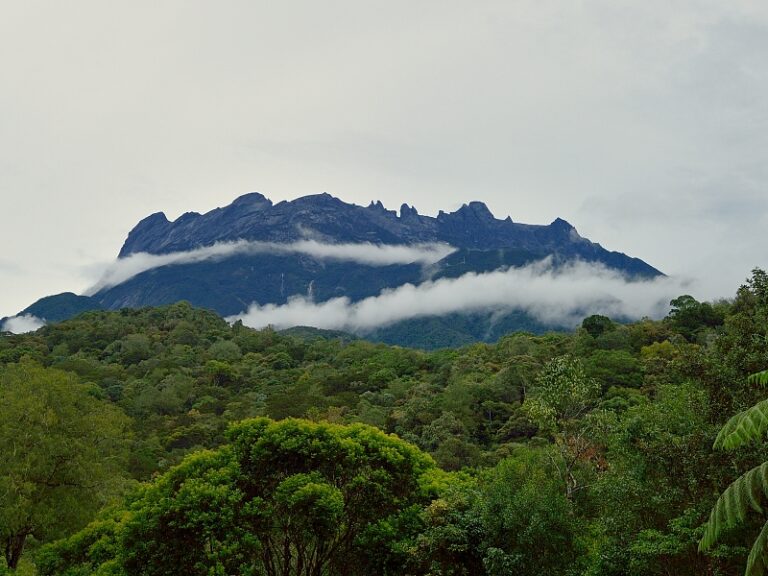 KINABALU PARK - SABAH (2015)
