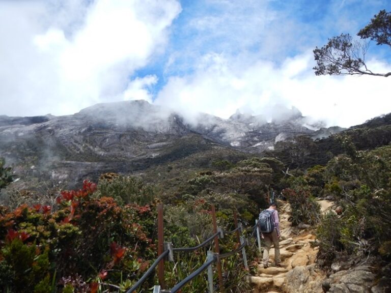 800 - Mount KinabaluMount Climb