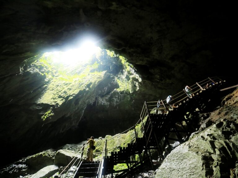 800 - Mulu1473233788-XL