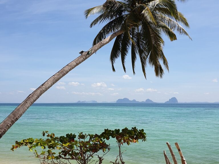 800x600 - Thapwarin Resort - 20200313_111942