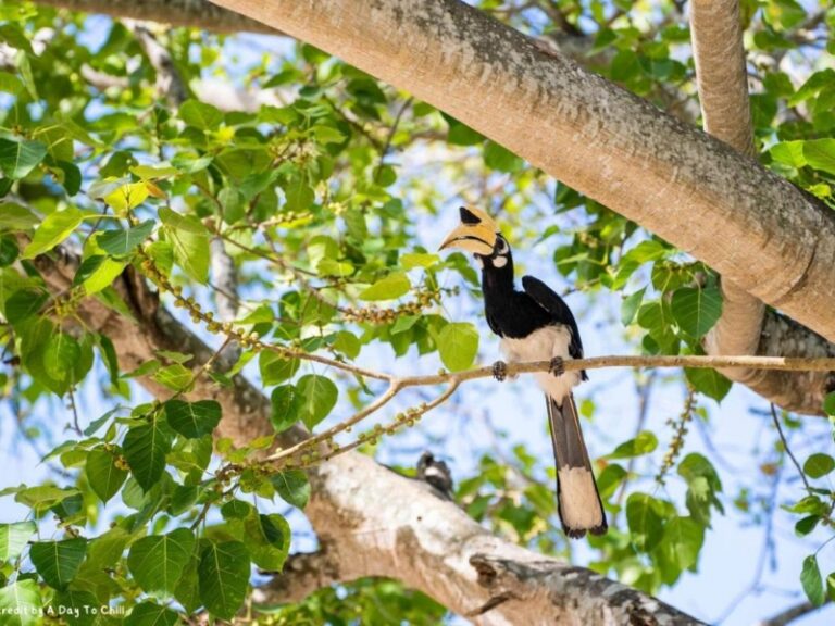 800x600 - Thapwarin Resort - 392004645