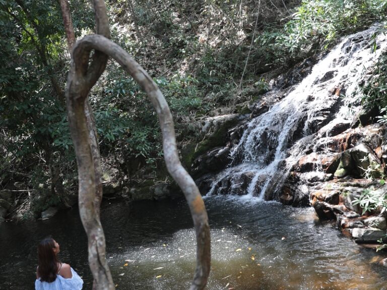 800x600 - Farmhouse Activities - A88I6820