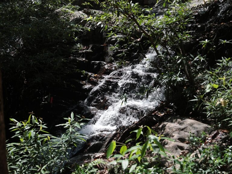 800x600 - Farmhouse Activities - A88I6854