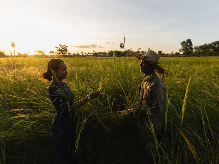 800x600 - Farmhouse Activities - SmilingGecko_2024-11_©DigitaleMassarbeit_058