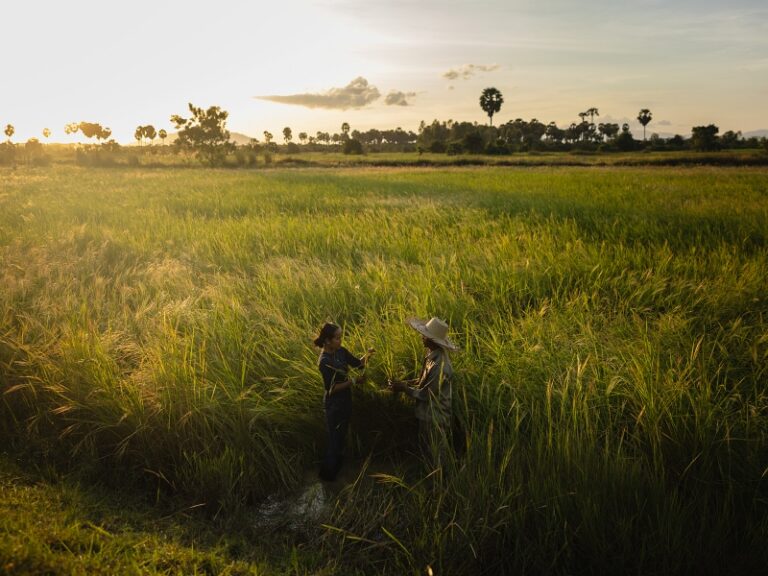 800x600 - Farmhouse Activities - SmilingGecko_2024-11_©DigitaleMassarbeit_066