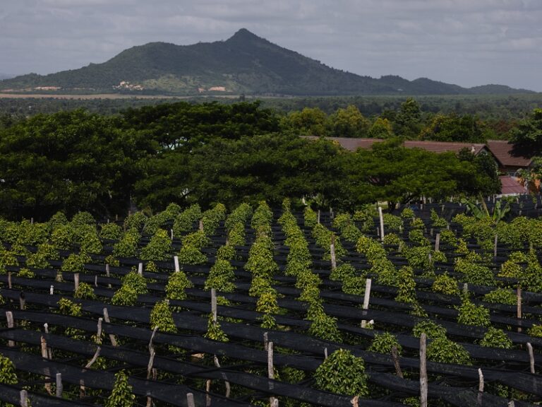800x600 - Farmhouse Activities - SmilingGecko_2024-11_©DigitaleMassarbeit_371