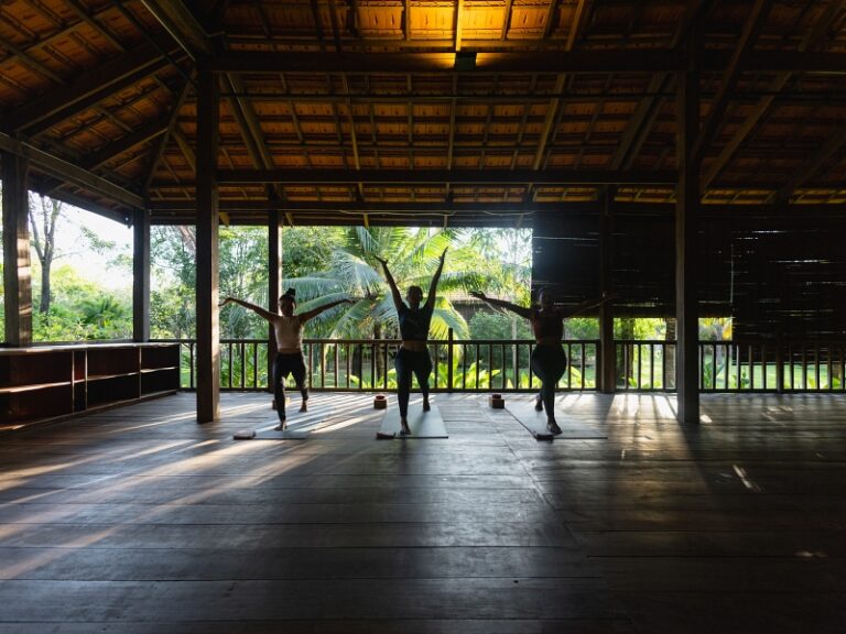 800x600 - Farmhouse Activities - smilinggecko_preview2024_154