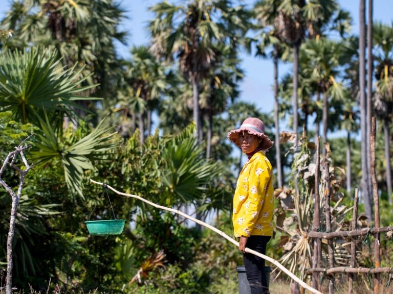 800x600 - Farmhouse Signature - Staff Farm 1