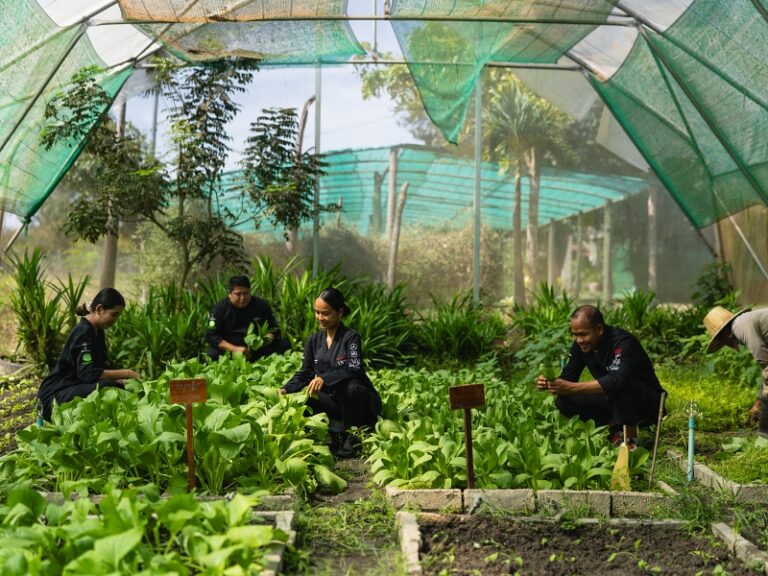 800x600 - Farmhouse Signature - Staff Farm 3