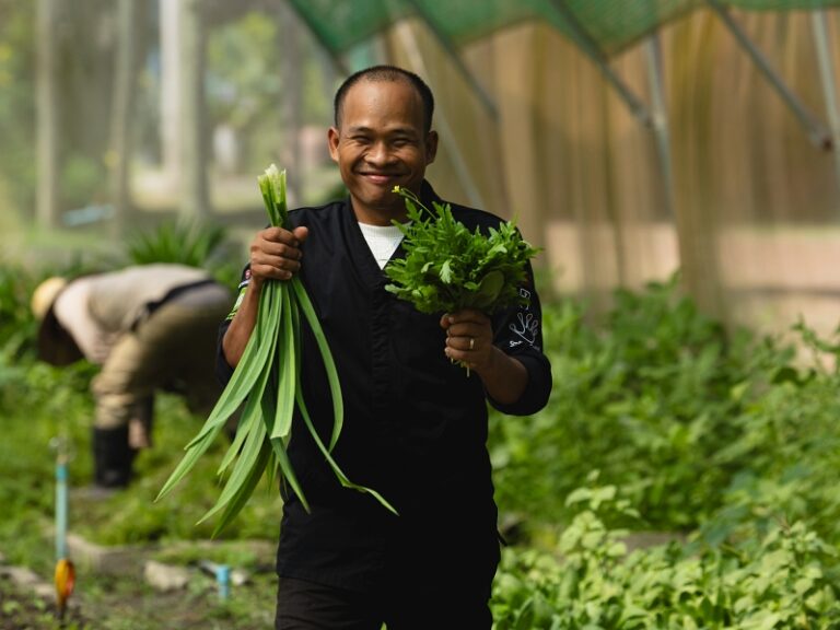 800x600 - Farmhouse Signature - Staff Farm 5