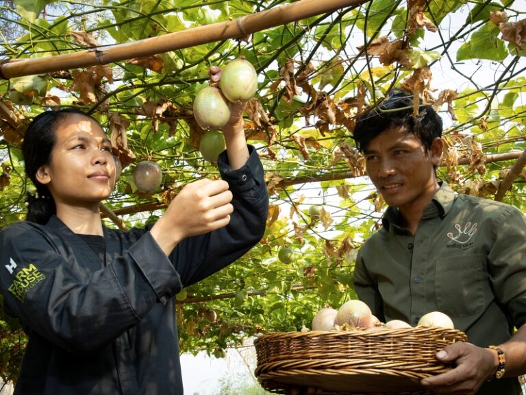 800x600 - Farmhouse Staff - Farm to Table II